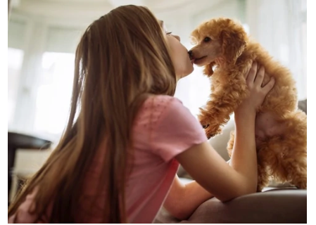 Pet Dental Care Made Easy by Charlotte Reed