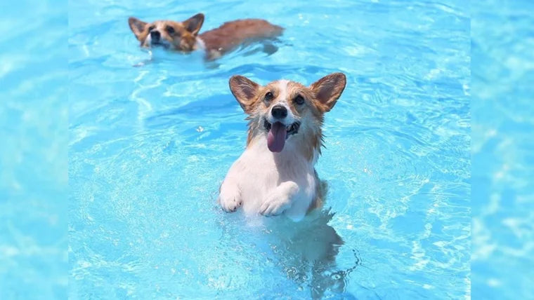 Gearing Up For Summer