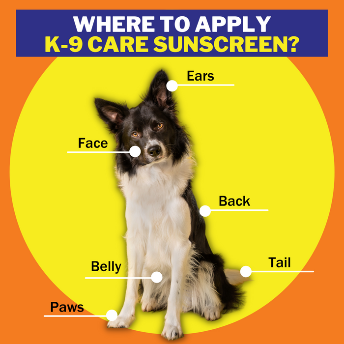 Epi-Pet 3.5 oz. K-9 Care Sunscreen | Sunscreen For Dogs 6