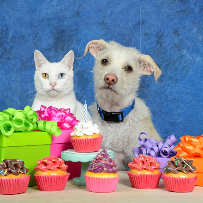 March is Pet Poison Awareness Month!