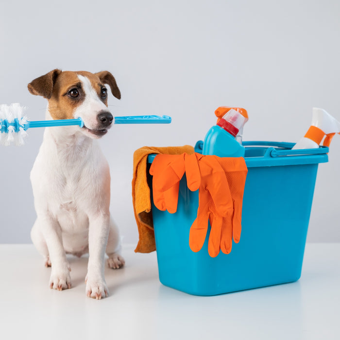 Careful Use of Cleaning Products Around Pets