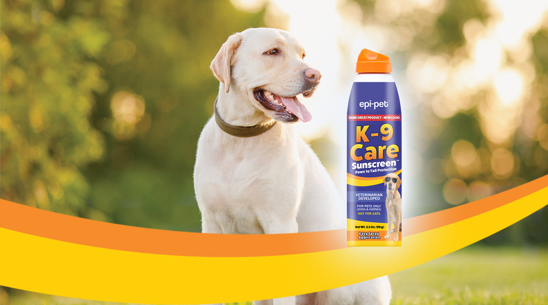 Petsmart sales dog sunscreen
